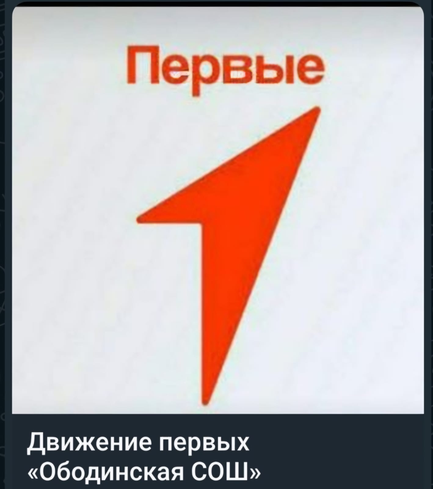 Экскурсии в ХЦРБ в рамках Всероссийского проекта «Первая помощь».