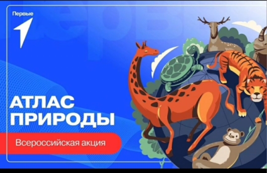Движение первых Ободинской СОШ".